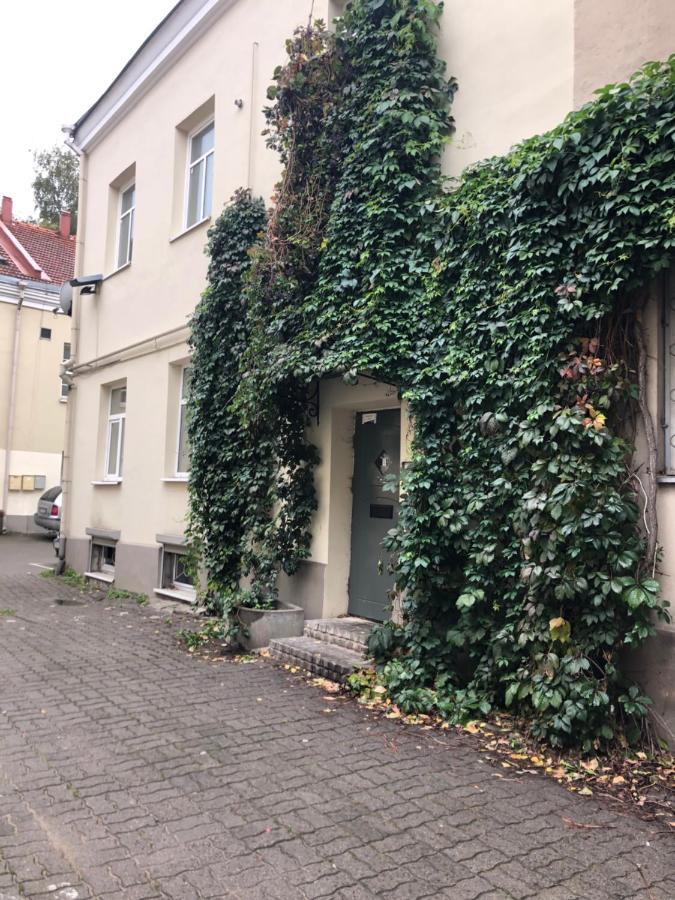 Angel House Vilnius, Dysnos Apartment Exterior photo